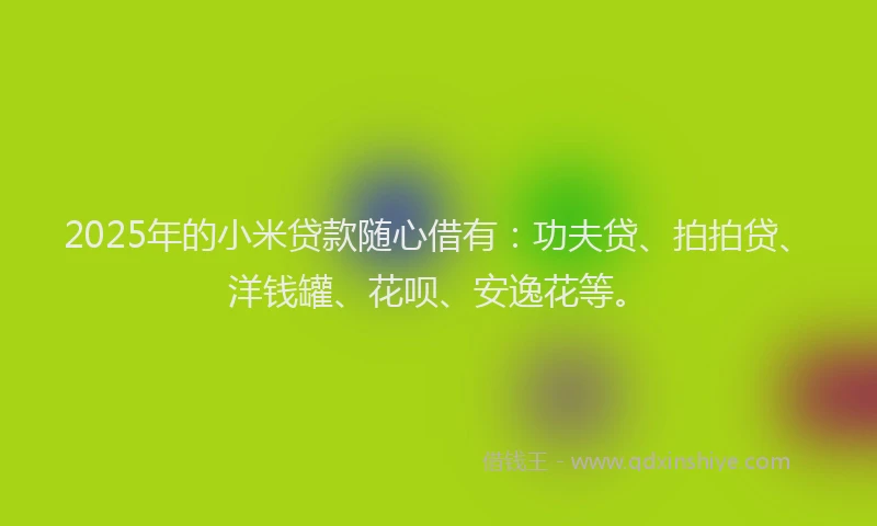 2025年的小米贷款随心借有：功夫贷、拍拍贷、洋钱罐、花呗、安逸花等。