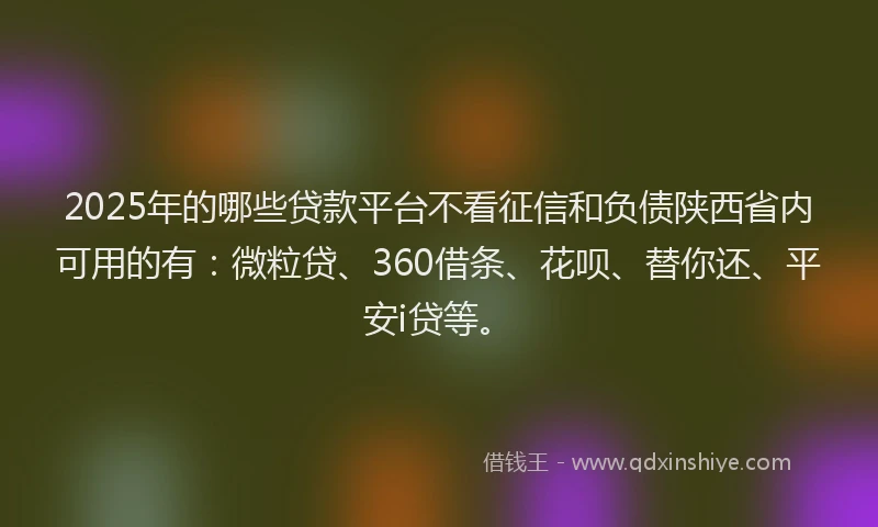 2025年的哪些贷款平台不看征信和负债陕西省内可用的有：微粒贷、360借条、花呗、替你还、平安i贷等。