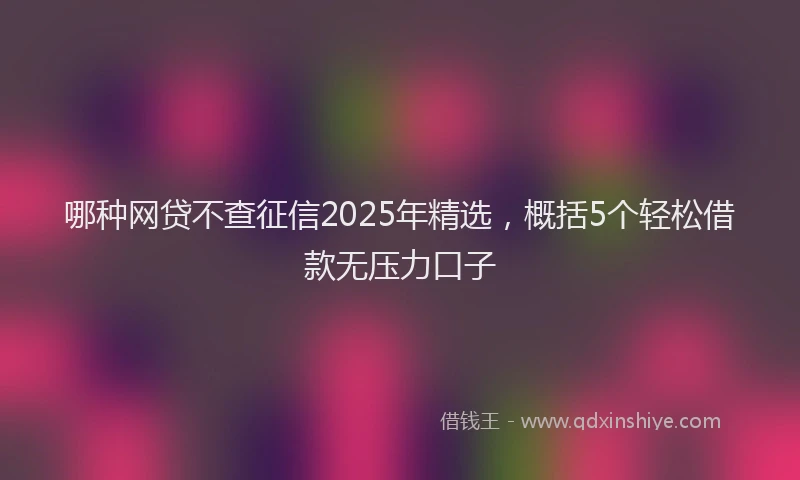 哪种网贷不查征信2025年精选，概括5个轻松借款无压力口子