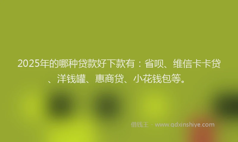 2025年的哪种贷款好下款有：省呗、维信卡卡贷、洋钱罐、惠商贷、小花钱包等。