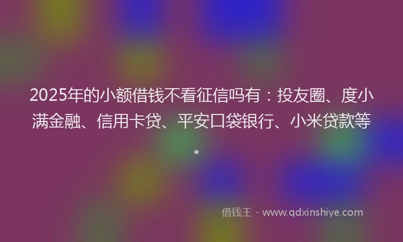 2025年的小额借钱不看征信吗有：投友圈、度小满金融、信用卡贷、平安口袋银行、小米贷款等。