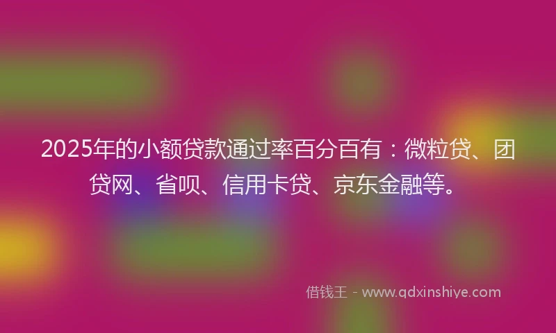 2025年的小额贷款通过率百分百有：微粒贷、团贷网、省呗、信用卡贷、京东金融等。