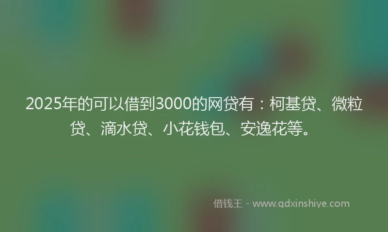 2025年的可以借到3000的网贷有：柯基贷、微粒贷、滴水贷、小花钱包、安逸花等。