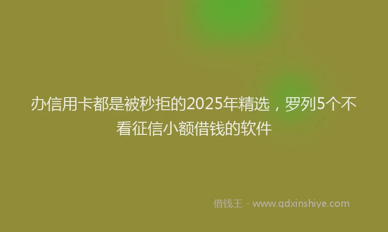 办信用卡都是被秒拒的2025年精选，罗列5个不看征信小额借钱的软件