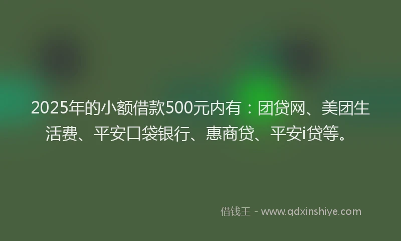 2025年的小额借款500元内有：团贷网、美团生活费、平安口袋银行、惠商贷、平安i贷等。