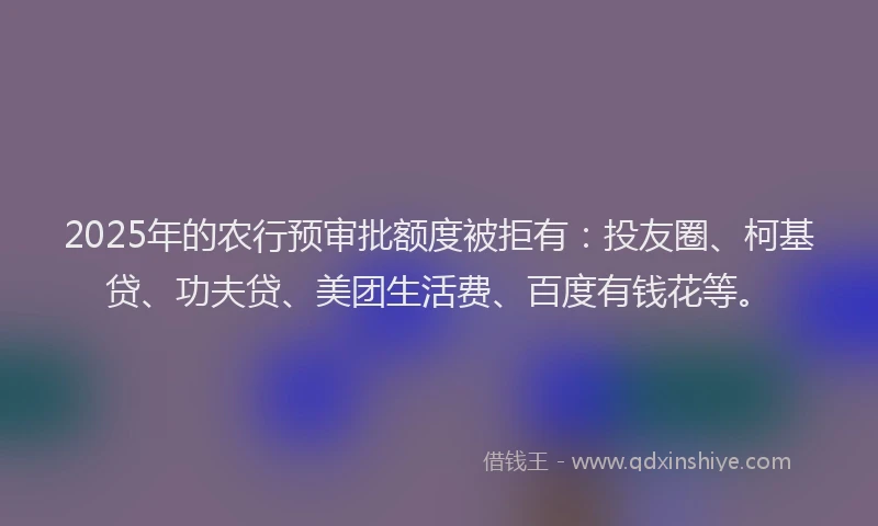 2025年的农行预审批额度被拒有：投友圈、柯基贷、功夫贷、美团生活费、百度有钱花等。
