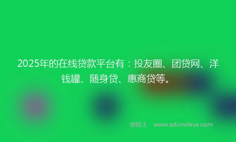 2025年的在线贷款平台有：投友圈、团贷网、洋钱罐、随身贷、惠商贷等。