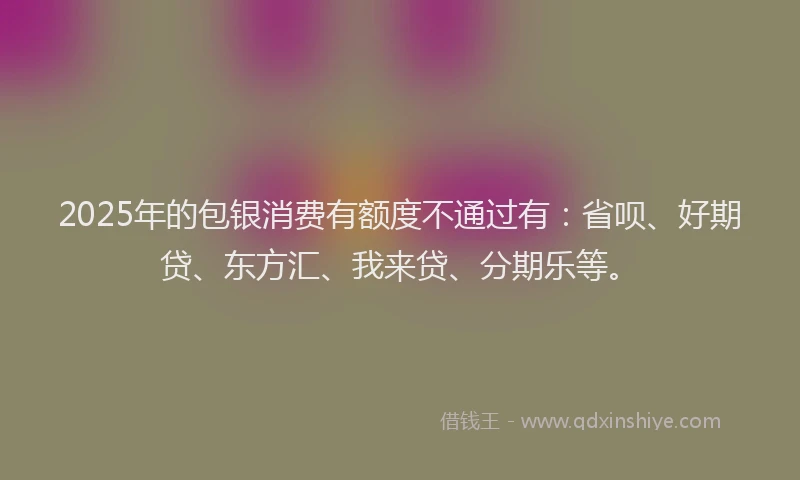 2025年的包银消费有额度不通过有：省呗、好期贷、东方汇、我来贷、分期乐等。