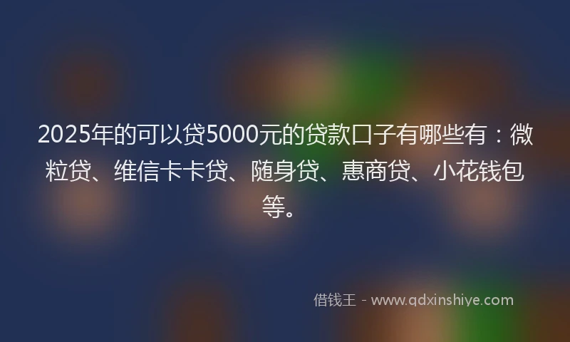 2025年的可以贷5000元的贷款口子有哪些有：微粒贷、维信卡卡贷、随身贷、惠商贷、小花钱包等。