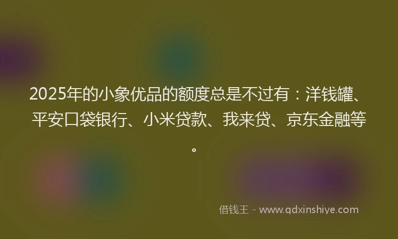 2025年的小象优品的额度总是不过有：洋钱罐、平安口袋银行、小米贷款、我来贷、京东金融等。