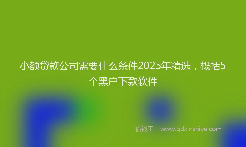 小额贷款公司需要什么条件2025年精选，概括5个黑户下款软件