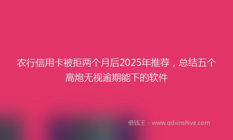 农行信用卡被拒两个月后2025年推荐，总结五个高炮无视逾期能下的软件