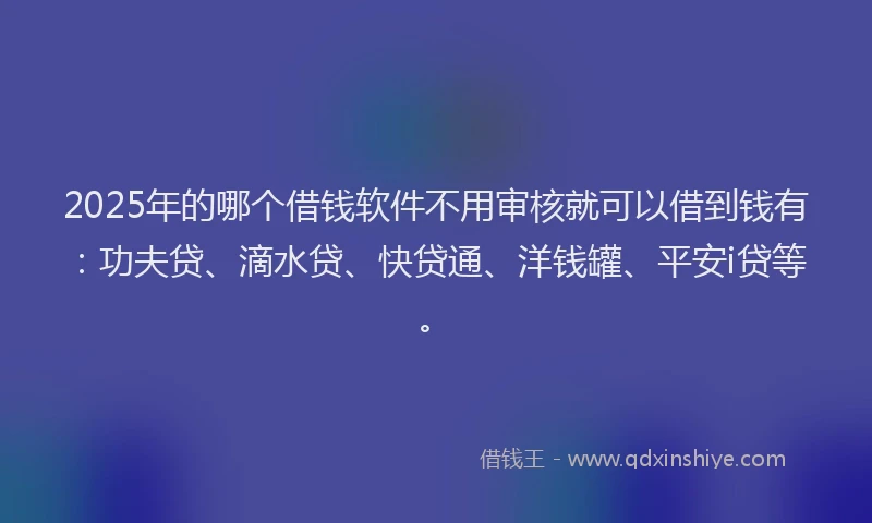 2025年的哪个借钱软件不用审核就可以借到钱有：功夫贷、滴水贷、快贷通、洋钱罐、平安i贷等。