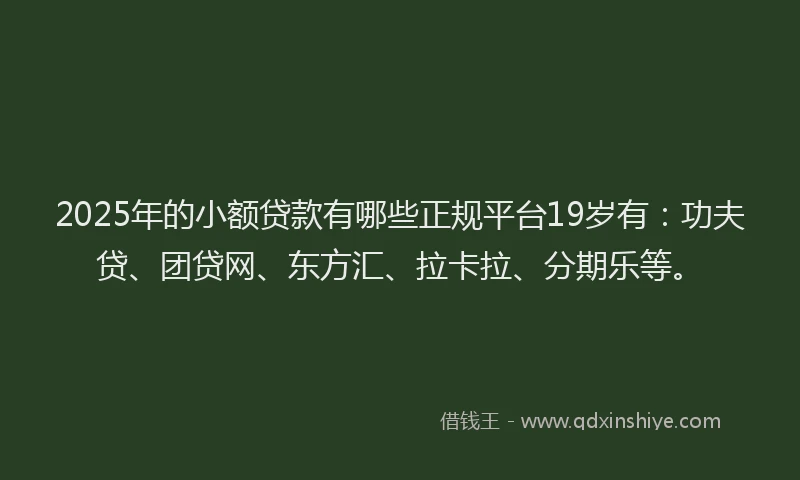 2025年的小额贷款有哪些正规平台19岁有：功夫贷、团贷网、东方汇、拉卡拉、分期乐等。