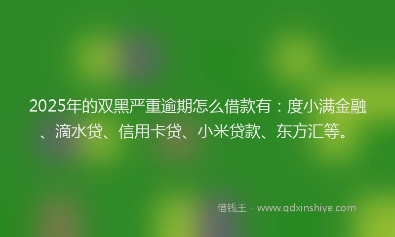 2025年的双黑严重逾期怎么借款有：度小满金融、滴水贷、信用卡贷、小米贷款、东方汇等。