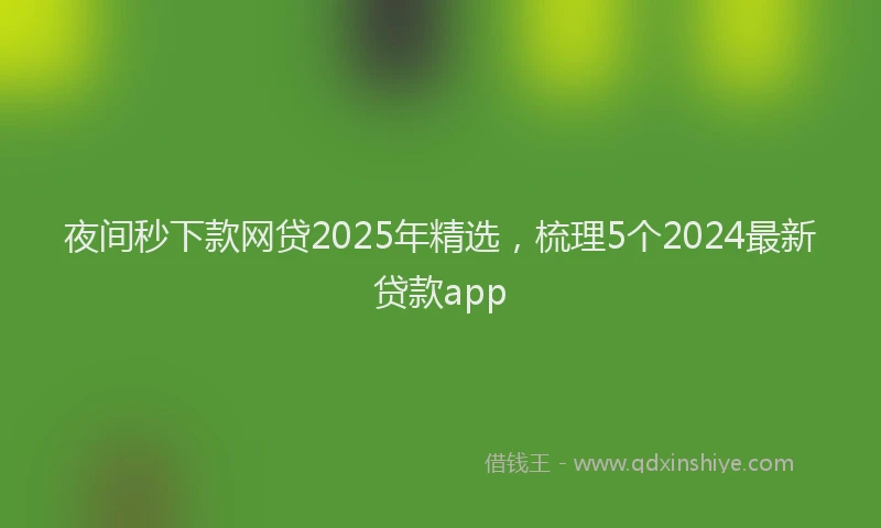 夜间秒下款网贷2025年精选，梳理5个2024最新贷款app