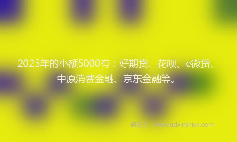 2025年的小额5000有：好期贷、花呗、e微贷、中原消费金融、京东金融等。