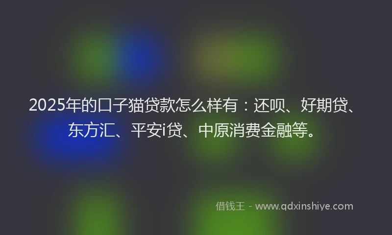 2025年的口子猫贷款怎么样有：还呗、好期贷、东方汇、平安i贷、中原消费金融等。