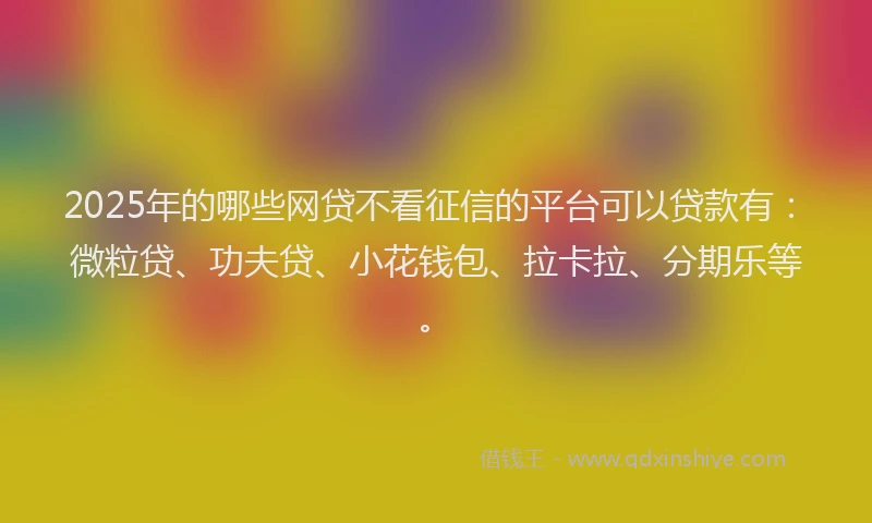 2025年的哪些网贷不看征信的平台可以贷款有：微粒贷、功夫贷、小花钱包、拉卡拉、分期乐等。