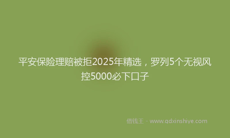 平安保险理赔被拒2025年精选，罗列5个无视风控5000必下口子