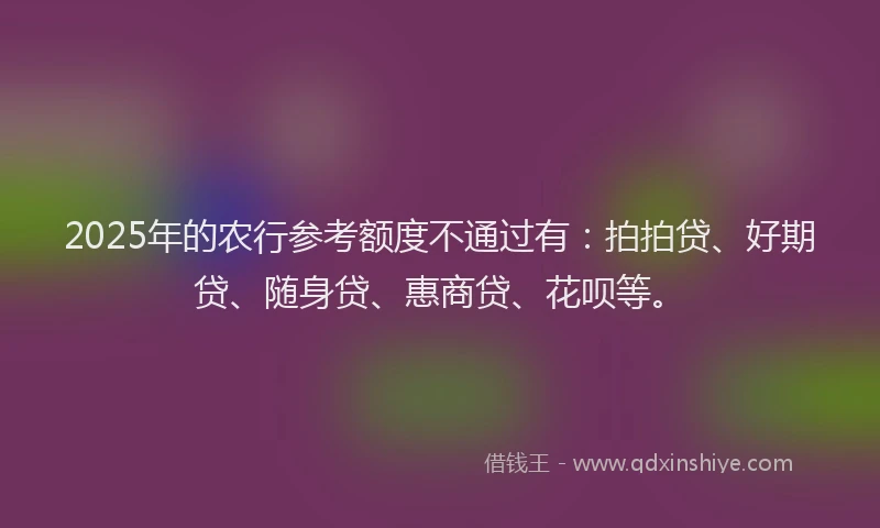 2025年的农行参考额度不通过有：拍拍贷、好期贷、随身贷、惠商贷、花呗等。