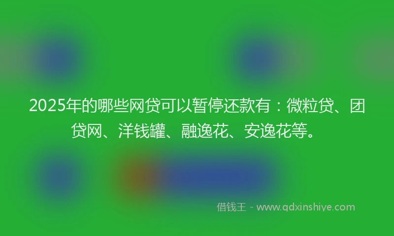 2025年的哪些网贷可以暂停还款有：微粒贷、团贷网、洋钱罐、融逸花、安逸花等。