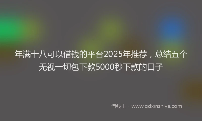 年满十八可以借钱的平台2025年推荐，总结五个无视一切包下款5000秒下款的口子