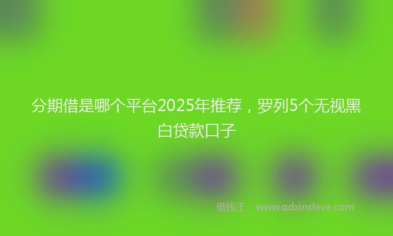 分期借是哪个平台2025年推荐，罗列5个无视黑白贷款口子
