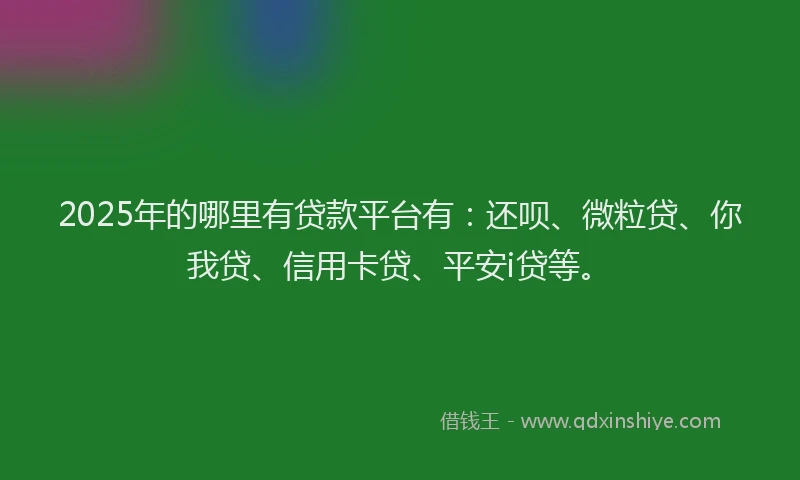 2025年的哪里有贷款平台有：还呗、微粒贷、你我贷、信用卡贷、平安i贷等。
