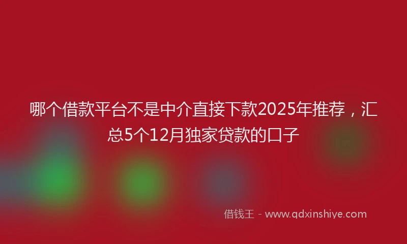 哪个借款平台不是中介直接下款2025年推荐，汇总5个12月独家贷款的口子