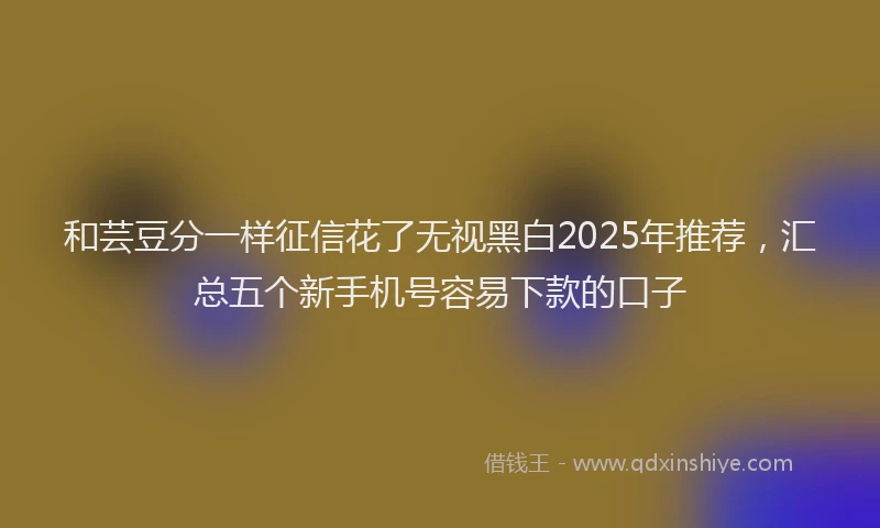 和芸豆分一样征信花了无视黑白2025年推荐，汇总五个新手机号容易下款的口子