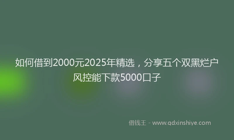 如何借到2000元2025年精选，分享五个双黑烂户风控能下款5000口子