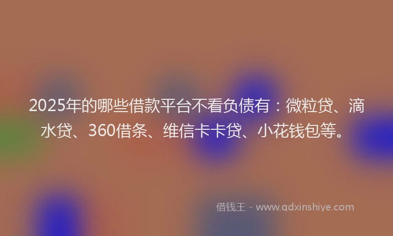 2025年的哪些借款平台不看负债有：微粒贷、滴水贷、360借条、维信卡卡贷、小花钱包等。