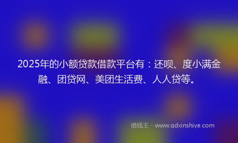 2025年的小额贷款借款平台有：还呗、度小满金融、团贷网、美团生活费、人人贷等。