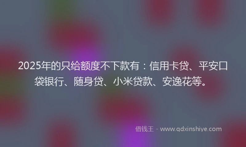 2025年的只给额度不下款有：信用卡贷、平安口袋银行、随身贷、小米贷款、安逸花等。