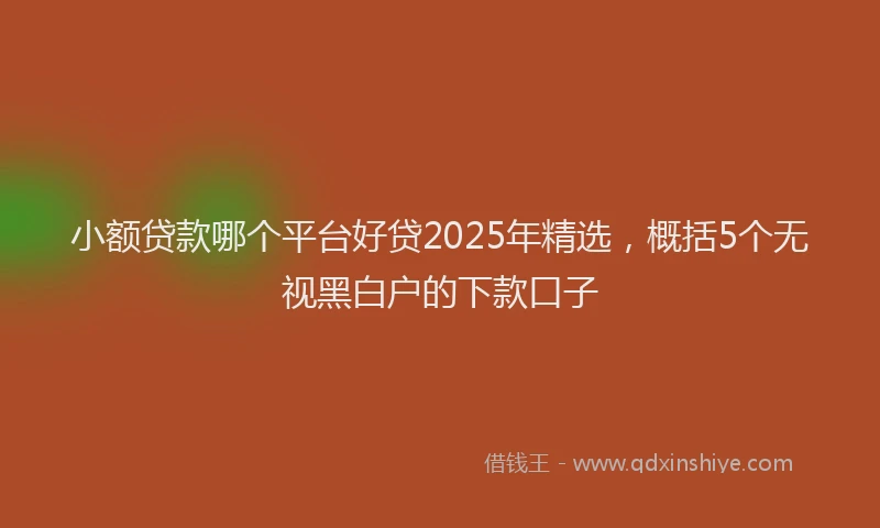 小额贷款哪个平台好贷2025年精选，概括5个无视黑白户的下款口子