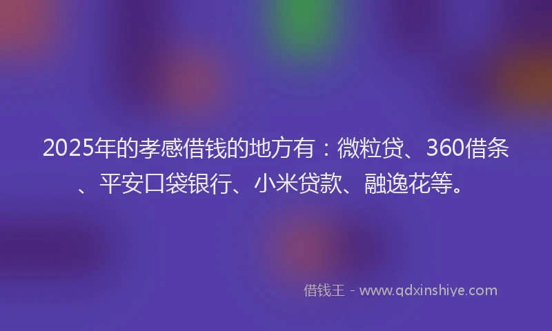 2025年的孝感借钱的地方有：微粒贷、360借条、平安口袋银行、小米贷款、融逸花等。