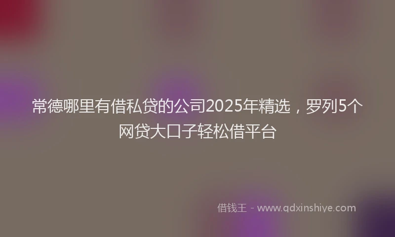 常德哪里有借私贷的公司2025年精选，罗列5个网贷大口子轻松借平台