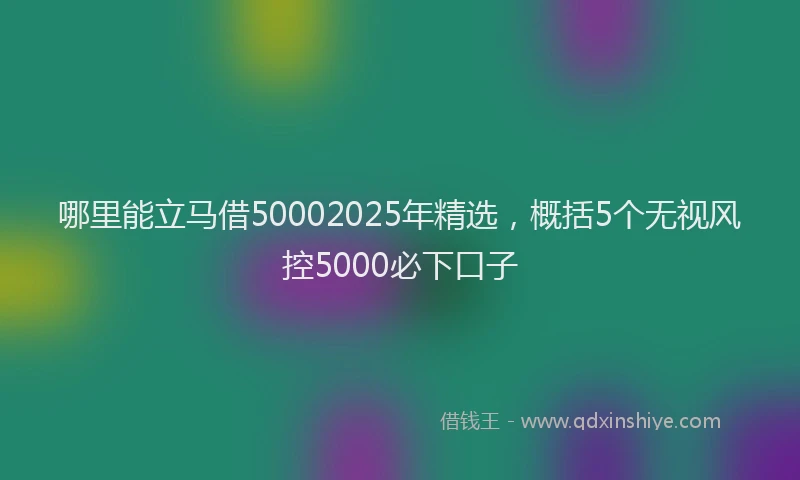 哪里能立马借50002025年精选，概括5个无视风控5000必下口子