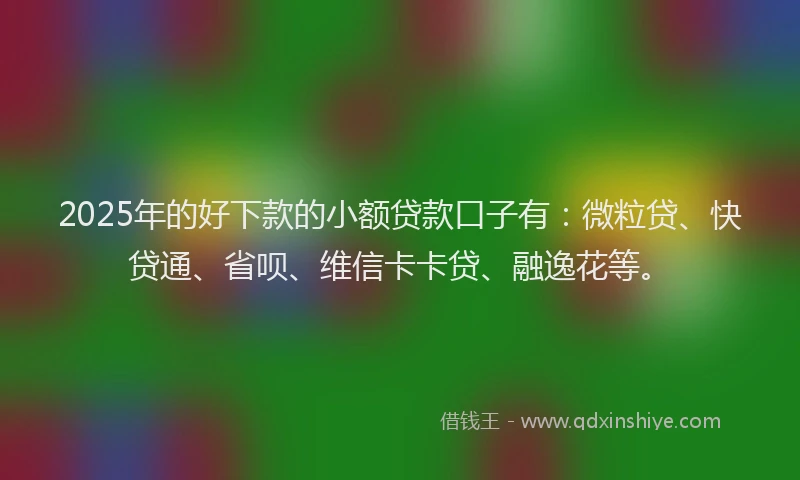 2025年的好下款的小额贷款口子有：微粒贷、快贷通、省呗、维信卡卡贷、融逸花等。