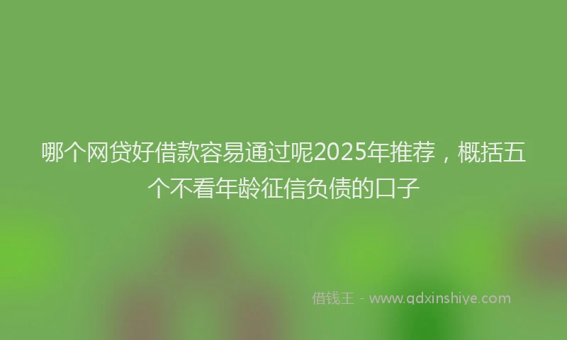 哪个网贷好借款容易通过呢2025年推荐，概括五个不看年龄征信负债的口子