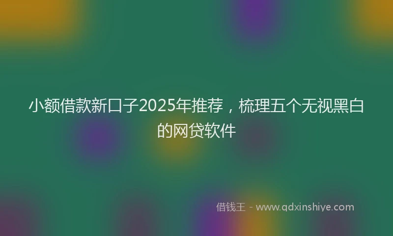 小额借款新口子2025年推荐，梳理五个无视黑白的网贷软件