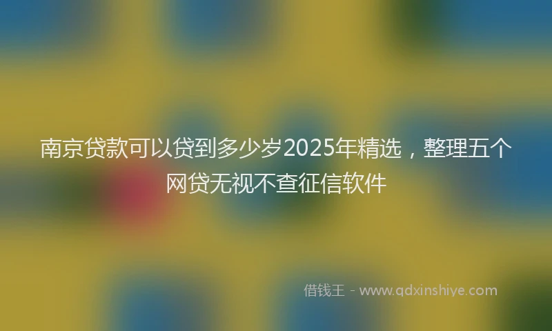 南京贷款可以贷到多少岁2025年精选，整理五个网贷无视不查征信软件