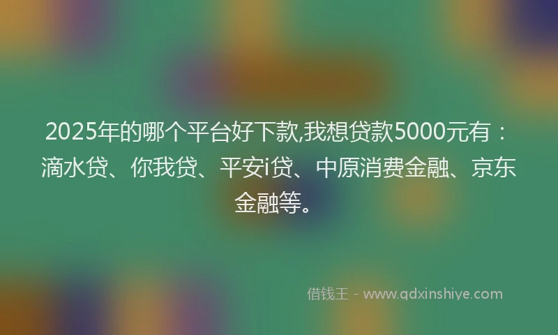 2025年的哪个平台好下款,我想贷款5000元有：滴水贷、你我贷、平安i贷、中原消费金融、京东金融等。