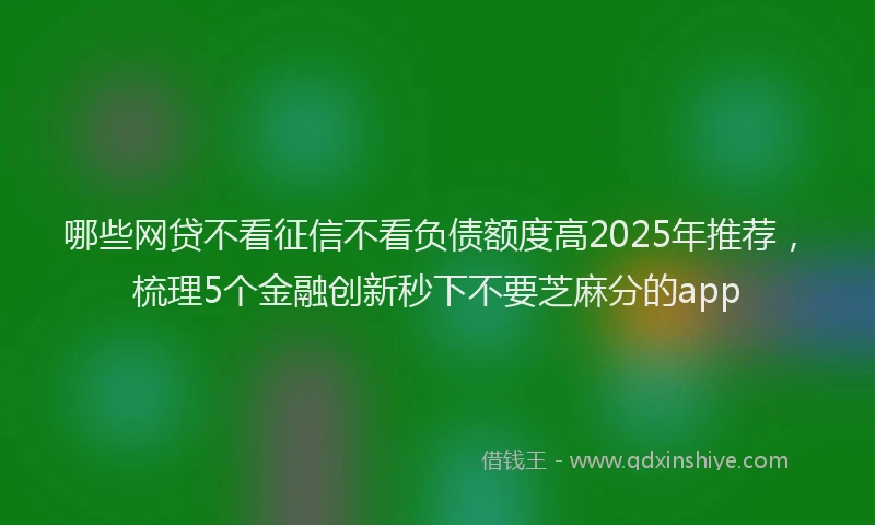 哪些网贷不看征信不看负债额度高2025年推荐，梳理5个金融创新秒下不要芝麻分的app