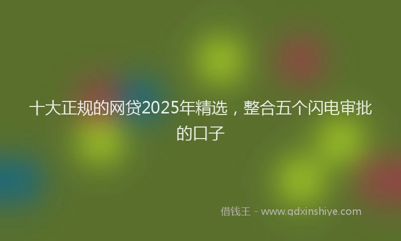 十大正规的网贷2025年精选，整合五个闪电审批的口子