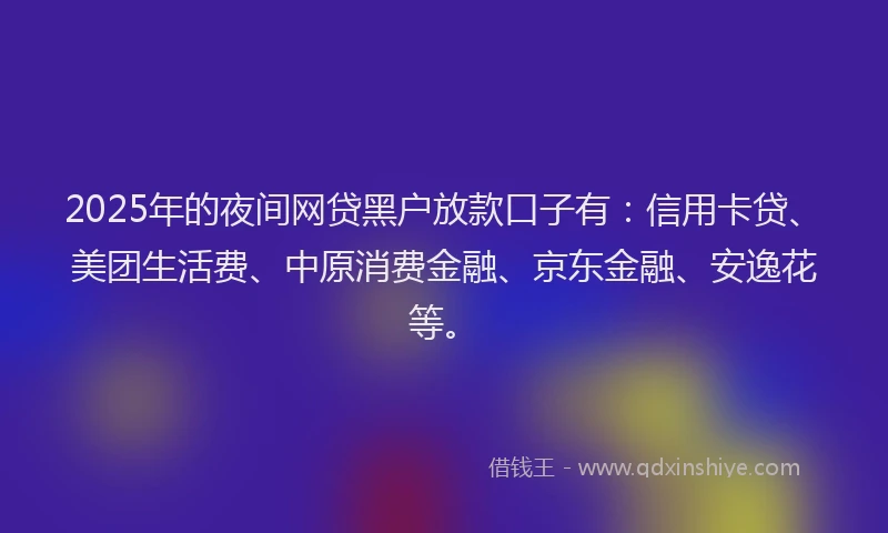 2025年的夜间网贷黑户放款口子有：信用卡贷、美团生活费、中原消费金融、京东金融、安逸花等。