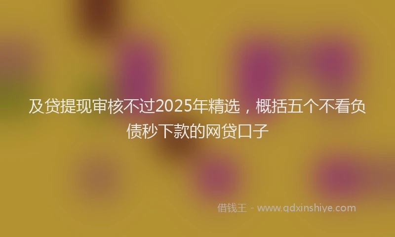 及贷提现审核不过2025年精选，概括五个不看负债秒下款的网贷口子