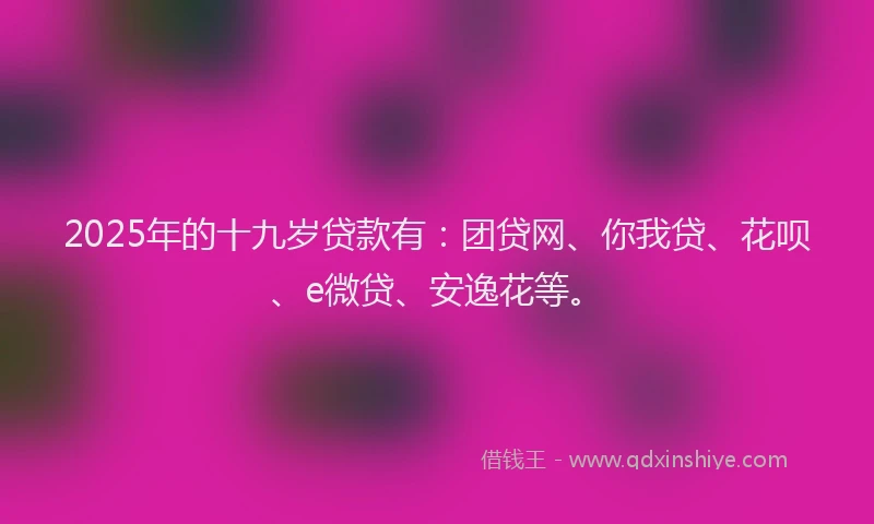 2025年的十九岁贷款有：团贷网、你我贷、花呗、e微贷、安逸花等。