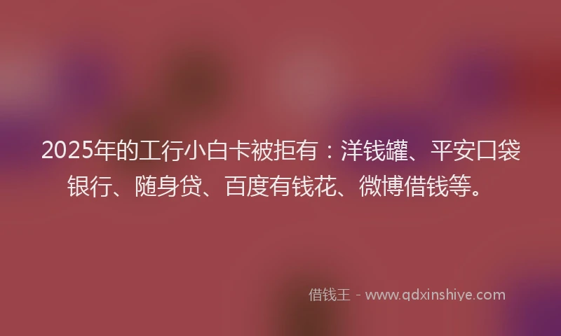 2025年的工行小白卡被拒有：洋钱罐、平安口袋银行、随身贷、百度有钱花、微博借钱等。